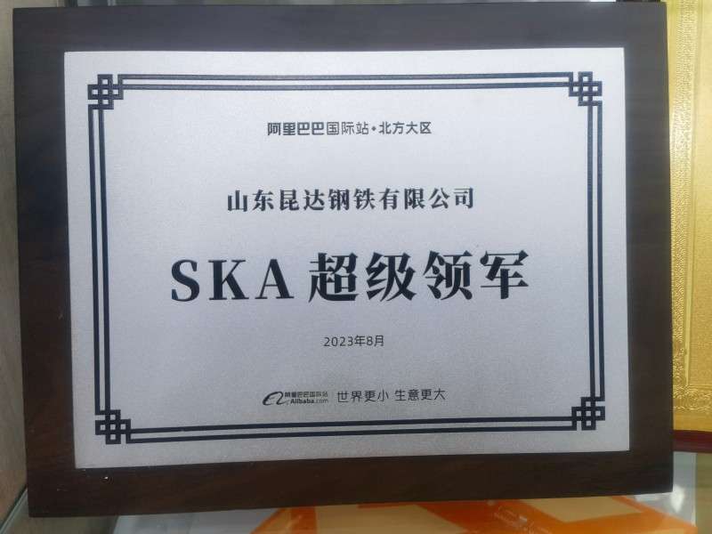SKA超级领军